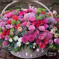 نواف (@ds4cgfmuubxngny) Twitter profile photo