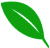 LeafJoy