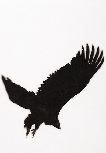 hohowc12's profile picture. 