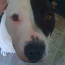 Anthony Barlam - @Antbar701 - Twitter