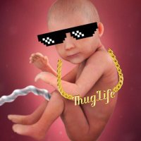 The Smirking Fetus(@SmirkingFetus) 's Twitter Profile Photo