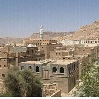 kusay15163562's profile picture. 