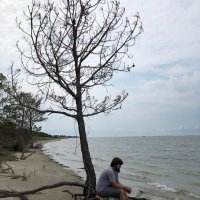 Zach Buddie (@zachbuddie123) 's Twitter Profile Photo Zach Buddie (@zachbuddie123) 's Twitter Profile Photo