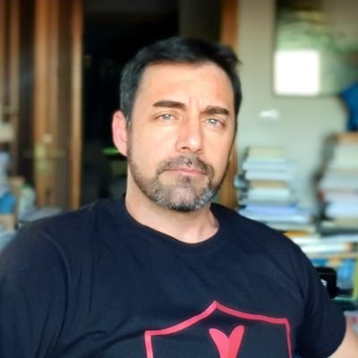 Profesor doctor en Historia, filipinista, historia bélica, divulgación, manuales de Secundaria, Arte, freelance. Valladolid
