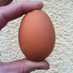 Matthew (@matthewbrownap) Twitter profile photo Matthew (@matthewbrownap) Twitter profile photo