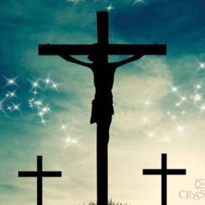 MGamberine's profile picture. @CGamberine_