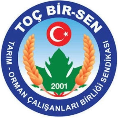 TocBirSenAfyon's profile picture. 