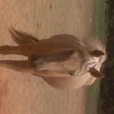 jennifer braddock - @txcutie72 - Twitter