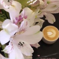 Dr. Mona Alqahtani (@mnoalqahtani1) 's Twitter Profile Photo Dr. Mona Alqahtani (@mnoalqahtani1) 's Twitter Profile Photo