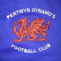Pentwyn Dynamos U18s (@dynamos18s) 's Twitter Profile