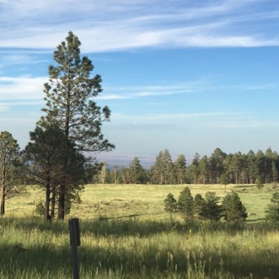 JamesMottAZ's profile picture. 