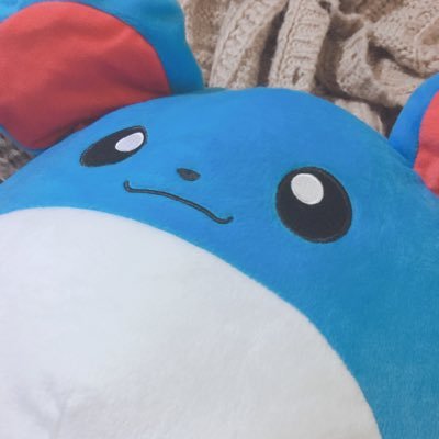 お取引用アカウントです   成人済
