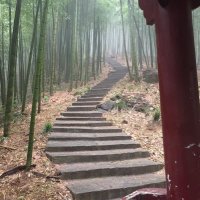 Andrew Lacey (@donotbescared) 's Twitter Profile