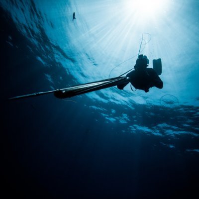 AMAkayabilir's profile picture. 