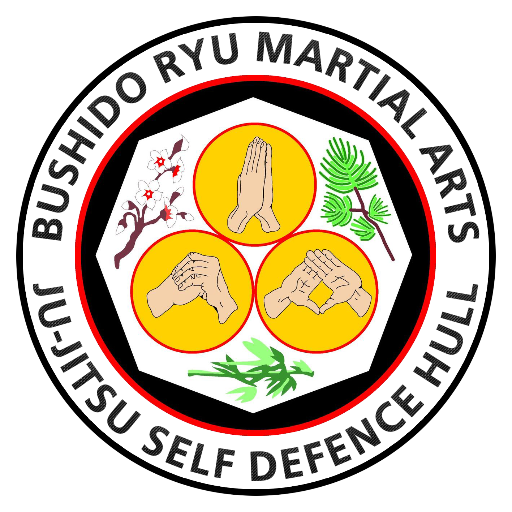 Bushido Ryu Martial Arts Hull
