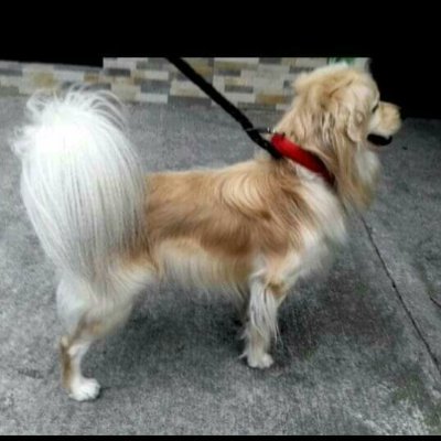 javohero's profile picture. La Vida es un Meme...