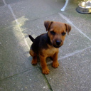 mandy smith - @mandy_ivy - Twitter