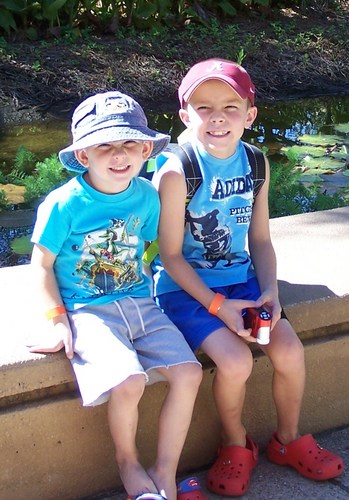 kellicdavis's profile picture. 