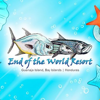 Scuba, Flyfish, Family Resort, Tropical Island Vacation Destination
https://t.co/HQjaL9zclk