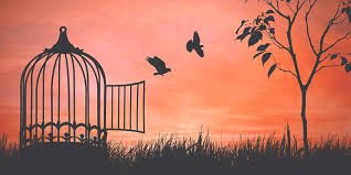 NoMasAbusos5's profile picture. No retroceder