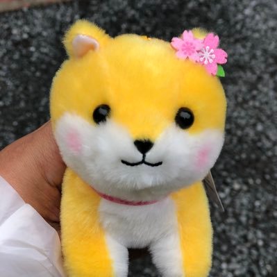 ひよこビタミンさんのプロフィール画像