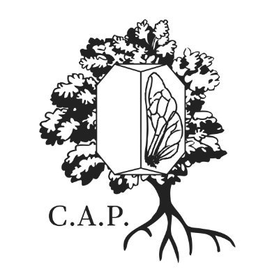 CedricPerriard's profile picture. 