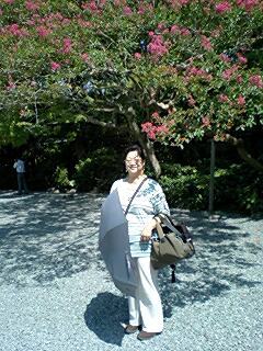はなとねことハレイワと京都が好きなおばちゃんです 毎日6キロ歩くのを目標にしてがんばってます