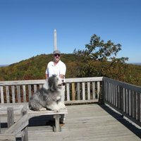 John F Muench (@jfmtweet) 's Twitter Profile