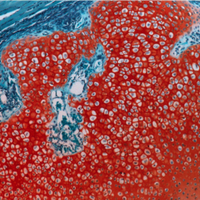 Mariani Lab USC (@marianilabusc) 's Twitter Profile Photo Mariani Lab USC (@marianilabusc) 's Twitter Profile Photo
