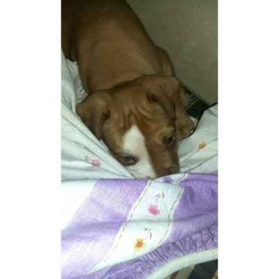 ix_why's profile picture. #Zacksitos ♡