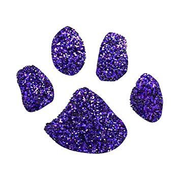 Official Twitter page for ACHS Purple Paws 💜🐾