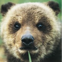 渡辺屋 (@watanabe_ya) Twitter profile photo