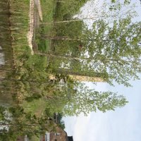 tricksRus (@goodnightl) 's Twitter Profile Photo