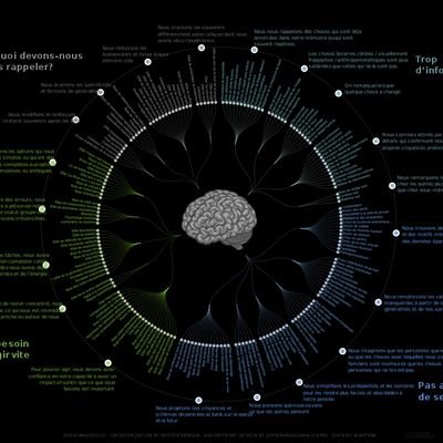 SalmonMaxime1's profile picture. 