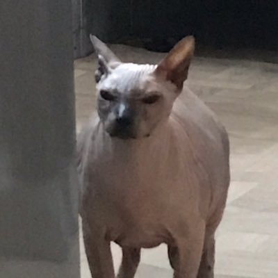 AngerinFromARMY's profile picture. 