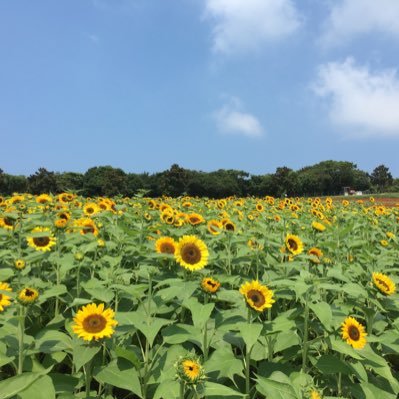 pqpqtmtm's profile picture. 