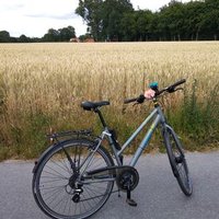 A-C (@tesastick1) Twitter profile photo