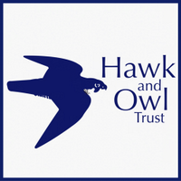 Dorset&S.SomersetGrp (@hawkandowltrust) 's Twitter Profile