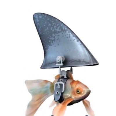 digital53052626's profile picture. digital marketing