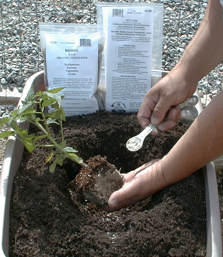 BioVam Mycorrhiza, a plant root enhancer, is part of Natures Own Growing System high brix, high quality, high yield organic growing system for gardeners.