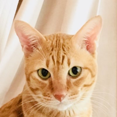 mikebmw55's profile picture. 
