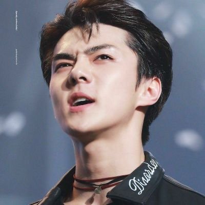 WE ARE ONE EXO