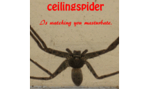 Glen Parrish - @ceilingspider - Twitter