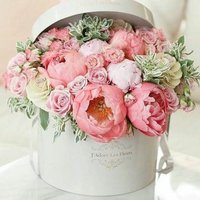 أم اسامه (@l4wqvun1nfxnb2i) 's Twitter Profile Photo
