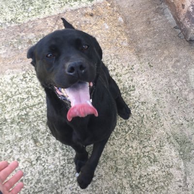 Freddobar7's profile picture. My mentor @Tyzav_