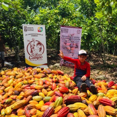 Ingeniero Agrónomo🌱🌾jefe de unidad técnica FEDECACAO-FNC San Vicente de Chucuri