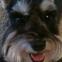 Beth Armstrong - @saxonswife - Twitter