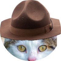 Constable Bob (@constbob) 's Twitter Profile