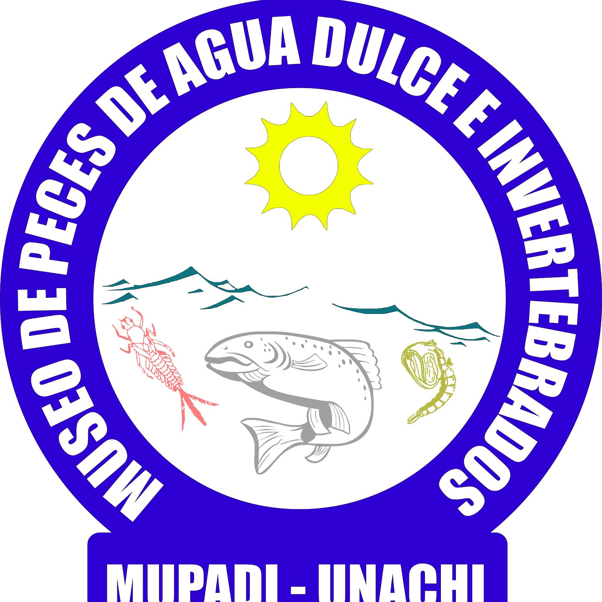 El MUPADI de la Universidad Autónoma de Chiriquí se dedica a la investigación en Diversidad, Taxonomía de Peces e Invertebrados terrestres y acuáticos