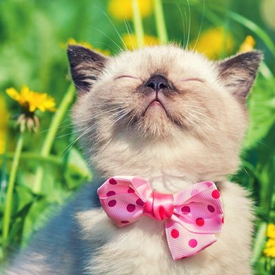 blabla_woo's profile picture. 